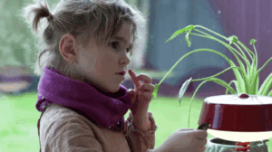 Leonoras lange rejse til et sprog