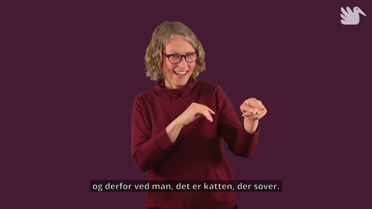 Plads og retning